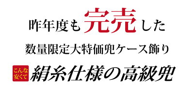 【五月人形】天翔龍鎧平飾り