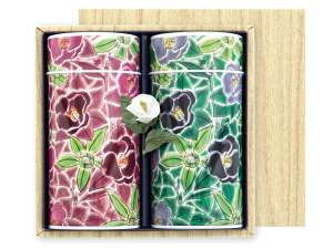 yMtgzォ肪ˁEMeB[obÔӂE䒃