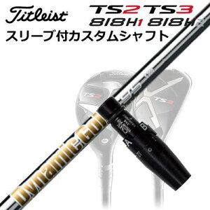 ^CgXgGT/ TSR/TSi/TS/818H [eBeBpX[utJX^VtggD[ep[ _Ci~bNS[h95 [eBeBCustom Shaft with Sleeve for Titleist Utility Metal True Temper Dynamic Gold