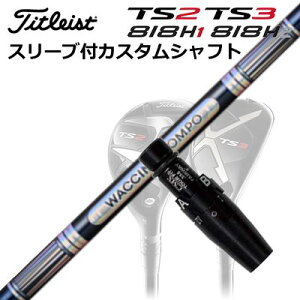 ^CgXgGT/ TSR/TSi/TS/818H [eBeBpX[utJX^VtgN`R| GR301 [eBeBCustom Shaft with Sleeve for Titleist Utility Metal WACCINE COMPO GR301 UT
