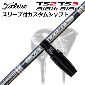 ^CgXgGT/ TSR/TSi/TS/818H [eBeBpX[utJX^VtgN`R| GR501/601 [eBeBCustom Shaft with Sleeve for Titleist Utility Metal WACCINE COMPO GR501/601 UT