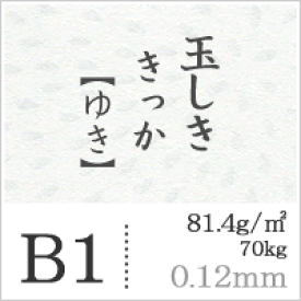 楽天市場 和柄 B4 紙の通販