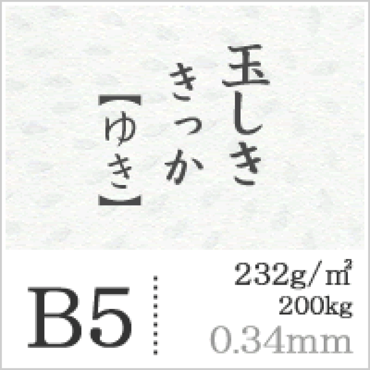 cat438_size_b4.jpg