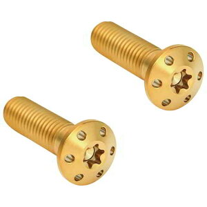 ��� ���t���{���g - �S�[���h �A�����l�X Mounting Bolts - Gold 300-919 DRAG 17010809