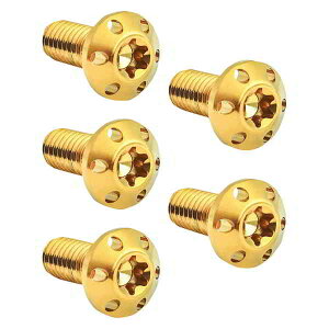  BOLT KIT ROTOR REAR HOLESHOT 5 PACK HUB MOUNT GOLD 300-911 DRAG 24011703