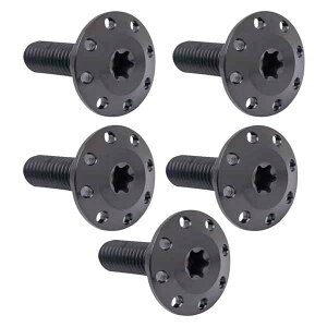  BOLT KIT ROTOR FRONT HOLESHOT 5 PACK SPOKE MOUNTBLK 300-915 DRAG 24011707