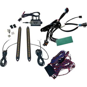 ��� �^�[���V�O�i���L�b�g - �t�����g/���A - RZR Pro �J�X�^���_�C�i�~�N�X Turn Signal Kit - Front/Rear - RZR Pro CD-SXS-RZRPRO DRAG 20202212