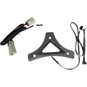  fAxƃu[LobNXgLEDCg JX^ _Ci~NX LED Backrest Light - Run/Brake - Chrome CD-BR-TKE-C DRAG 20402616