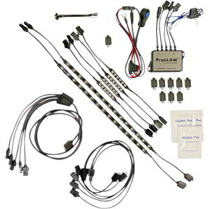 ��� ���C�g�L�b�g - �G���W�� �J�X�^���_�C�i�~�N�X ProGLOW? Light Kit - Engine PG-ENG-KIT DRAG 20402759