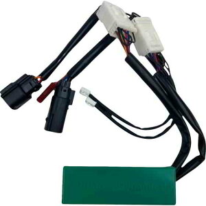 ��� �X�}�[�g�g���v���v���CR�M���ϊ����W���[�� �J�X�^���_�C�i�~�N�X Smart Triple PlayR Signal Conversion Module GENSMRTTPU14CVO DRAG 20500287