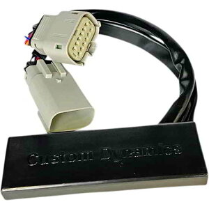  Xg{W[ - CVOgCN JX^_Ci~NX Strobe Module - CVO Trike STROBES-TGCVO DRAG 20500402