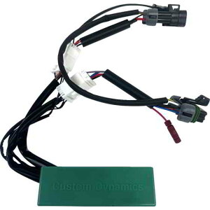 ��� ���W���[�� - ���s/����/�u���[�L - RZR Pro �J�X�^���_�C�i�~�N�X SMART Triple PlayR Module - RZR Pro GEN-SMART-TPU-RZRPRO DRAG 20500512