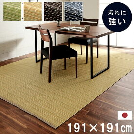 洗える カーペット ダイニング ラグ 敷詰 丈夫 日本製 国産 除菌スプレー対応 アウトドア ペット グリーン ベージュ ブラウン ネイビー 本間2畳（約191×191cm） 《os》