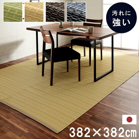 洗える カーペット ダイニング ラグ 敷詰 丈夫 日本製 国産 除菌スプレー対応 アウトドア ペット グリーン ベージュ ブラウン ネイビー 本間8畳（約382×382cm） 《os》