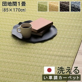 洗える カーペット ダイニング ラグ 敷詰 丈夫 日本製 国産 除菌スプレー対応 ござ アウトドア ペット グリーン ベージュ ブラウン ネイビー 団地間1畳（約85×170cm） 《os》