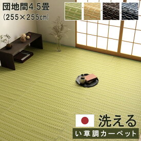 洗える カーペット ダイニング ラグ 敷詰 丈夫 日本製 国産 除菌スプレー対応 ござ アウトドア ペット グリーン ベージュ ブラウン ネイビー 団地間4.5畳（約255×255cm） 《os》