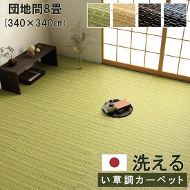 洗える カーペット ダイニング ラグ 敷詰 丈夫 日本製 国産 除菌スプレー対応 ござ アウトドア ペット グリーン ベージュ ブラウン ネイビー 団地間8畳（約340×340cm） 《os》
