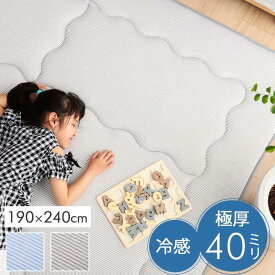 冷感 接触冷感 ひんやり カーペット ラグ 厚手 ボリューム グレー 長方形 約 3畳 190×240cm リビング《os》