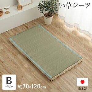 Q V[c ~pbh  Y { 炳 z  L ȒP u[ xr[TCY 70×120cmsost