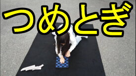 楽天市場 犬 爪とぎの通販