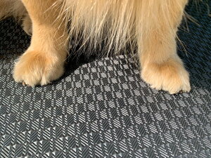 ~߃}bg  150cm×6m 5mm 1 Obv͔Q S ȒP   L ybg}bg ybgpi mXbv  L ^C 􂦂 т̑| V 