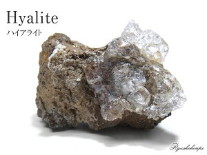 nCACgIp[  `FRY VR p[Xg[ z