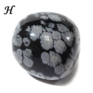 Xm[t[NIuVfBA ^u LVRY Ѝj VR p[Xg[