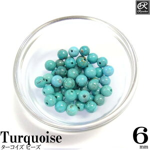 ^[RCY6mmEhr[Y VR p[Xg[