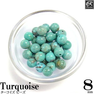 ^[RCY8mmEhr[Y VR p[Xg[