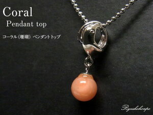 R[iXj y_ggbv CJ`[t TS VR p[Xg[