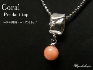 R[iXj y_ggbv TS VR p[Xg[