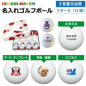 y3cƓoבΉ IEl[ St{[zEB\ wilson fB[Xp xA\ 2020Nf zCg 1_[Xi12j Xs[h[i OMtg Ryܕi ii z[C