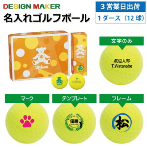 y3cƓoבΉ IEl[ St{[zEB\ wilson fB[Xp xA\4 CG[ 1_[X(12)OMtg z[C LOi ̓ җj av[g