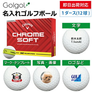 yoבΉ IEl[ St{[zLEFC CHROMESOFT N\tg 360° YELLOW STRIPE CG[XgCv 2025 1_[X(12) Xs[h[i OMtg Ryܕi ii 