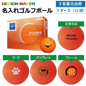 y3cƓoבΉ IEl[ St{[zMIZUNO ~Ym D201 2020Nf IW 1_[X(12)OMtg Ryܕi ii z[C LOi ̓ җj av