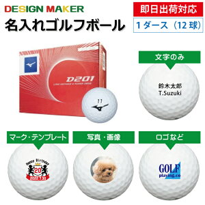 yoבΉ IEl[ St{[zMIZUNO ~Ym D201 2020Nf zCg 1_[X(12)OMtg Ryܕi ii z[C LOi ̓ җj av[