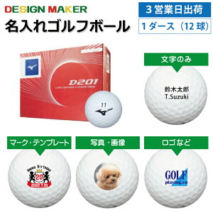 y3cƓoבΉ IEl[ St{[zMIZUNO ~Ym D201 2020Nf zCg 1_[X(12)OMtg Ryܕi ii z[C LOi ̓ җj av