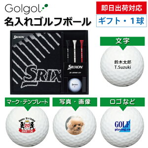 yoבΉ IEl[ St{[z_bv XN\ ^IMtgZbg GGF-F1203 Z-STAR XV1 Xs[h[i OMtg Ryܕi ii z[C LOi