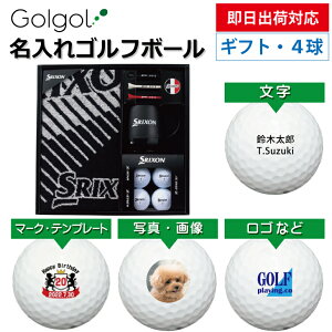 yoבΉ IEl[ St{[z_bv XN\ ^IMtgZbg GGF-F4402 Z-STARV[Y4 Xs[h[i OMtg Ryܕi ii z[C 