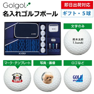 yoבΉ IEl[ St{[z[NVI oEh hCu II zCg5 {[Mtg GGF-F5501 ^IZbg z[C LOi ̓ җj