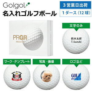 y3cƓo IEl[ St{[zvMA v~A PRGR PREMIUM 2024Nf zCg 1_[X(12) Xs[h[i OMtg Ryܕi ii z[C LOi 