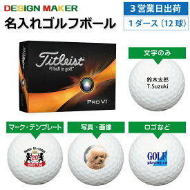 【3営業日出荷対応 オウンネーム 名入れゴルフボール】タイトリスト プロV1 Titleist ProV1 2023年モデル ホワイト1ダース（12球） スピード納品 名前入りギフト コンペ賞品 景品 ホールインワン 記念品 父の日 還暦祝 退職記念