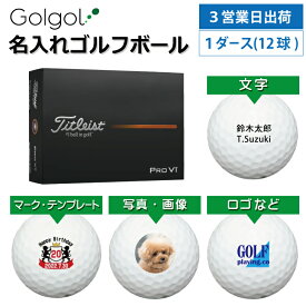 【3営業日出荷 オウンネーム 名入れゴルフボール】タイトリスト Titleist ProV1 プロV1 2025年 ホワイト 1ダース(12球) スピード納品 名前入りギフト コンペ賞品 景品 ホールインワン 記念品 父の日 還暦祝 退職記念