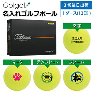 y3cƓo IEl[ St{[z^CgXg Titleist ProV1 vV1 2025N CG[ 1_[X(12) Xs[h[i OMtg Ryܕi ii z[C LOi ̓