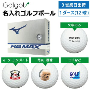 y3cƓo IEl[ St{[zMIZUNO ~Ym RB MAX zCg  1_[X(12) Xs[h[i OMtg Ryܕi ii z[C LOi ̓ җj ސELO