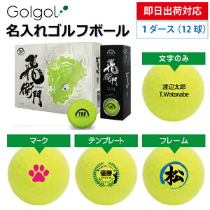 yoבΉ St{[zq/grG T-2BMY }bg{[ O[CG[ 1_[X(12)a Mtg ̓ v[g IEl[ Il[ O I[_[