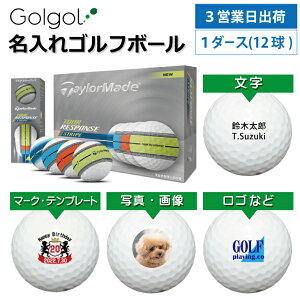 y3cƓoבΉ IEl[ St{[ze[[Ch cA[X|X XgCv(4F}`){[ 1_[X(12) Xs[h[i OMtg Ryܕi ii z[