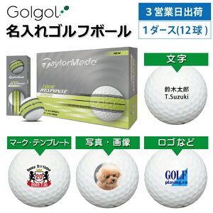 y3cƓoבΉ IEl[ St{[ze[[Ch cA[X|X XgCv(CG[){[ 1_[X(12) Xs[h[i OMtg Ryܕi ii z[