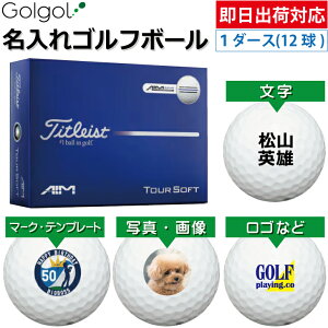 �y�����o�בΉ� �I�E���l�[�� ������S���t�{�[���zTitleist TOURSOFT AIM 2026�N �z���C�g �� 1�_�[�X�i12���j�^�C�g���X�g �c�A�[�\�t�g �G�C���E�u���[/ �X�s�[�h�[�i ���O����M�t�g �R���y�ܕi
