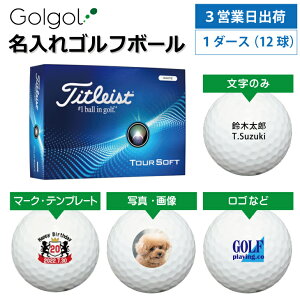 【3営業日出荷対応 オウンネーム 名入れゴルフボール】タイトリスト TOURSOFT ツアーソフト 2024年モデル ホワイト 1ダース(12球) スピード納品 名前入りギフト コンペ賞品 景品 ホールインワ